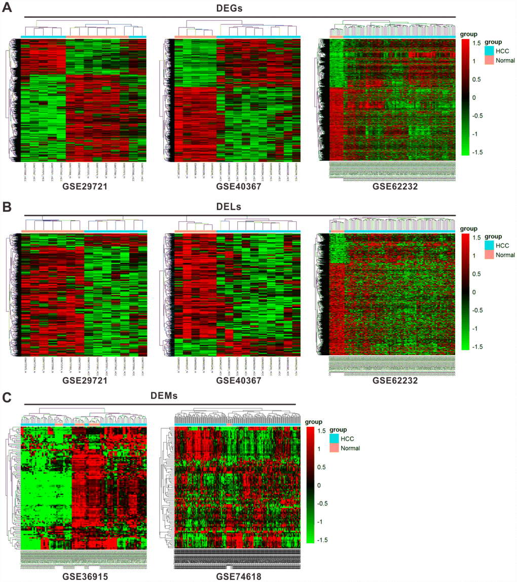 Cluster analysis of differentially expressed profiles. Hierarchical cluster dendrogram of DEGs (A) and DELs (B) identified in GES29721, GSE40367 and GSE62232 as well as DEMs (C) identified in GSE36915 and GSE74618. The rows showed DEGs, DELs, and DEMs, while the columns showed paired samples. The pink part represents normal samples and the blue part represents HCC samples. The left vertical axis shows clusters of DEGs, DELs and DEMs, while the above horizontal axis shows clusters of samples. Red represents high expression and green represents low expression.