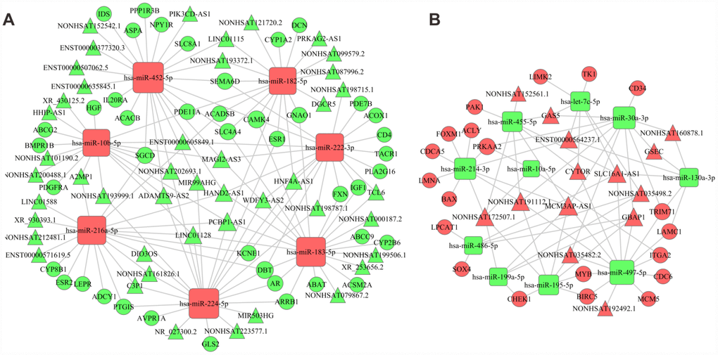 The ceRNA network. (A) Network constructed by upregulated miRNAs, downregulated lncRNAs and downregulated mRNAs. (B) Network constructed by downregulated miRNAs, upregulated lncRNAs and upregulated mRNAs. Red diamonds represent upregulated miRNAs, red balls, upregulated mRNAs, and red triangles, upregulated lncRNAs. Green diamonds represent downregulated miRNAs, green balls, downregulated mRNAs, green triangles, downregulated lncRNAs.