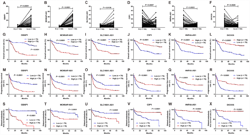 Expression and survival sifnificance for the six lncRNAs in 158 clinical samples. Expression levels of lncRNAs GBAP1 (A), MCM3AP-AS1 (B), SLC16A1-AS1 (C), C3P1 (D), HNF4A-AS1 (E), and DIO3OS (F) in 158 HCC tissues and adjacent normal tissues. Kaplan-Meier survival curves showed significant OS differences between high- and low-expression of lncRNAs including GBAP1 (G), MCM3AP-AS1 (H), SLC16A1-AS1 (I), C3P1(J), HNF4A-AS1 (K), and DIO3OS (L), and significant PFS differences including GBAP1 (M), MCM3AP-AS1 (N), SLC16A1-AS1 (O), C3P1 (P), HNF4A-AS1 (Q) and DIO3OS (R), as well as significant DmFS differences including GBAP1 (S), MCM3AP-AS1 (T), SLC16A1-AS1 (U), C3P1 (V), HNF4A-AS1 (W) and DIO3OS (X). N =158, Ca = 158; N, normal tissue; Ca, cancer tissue.