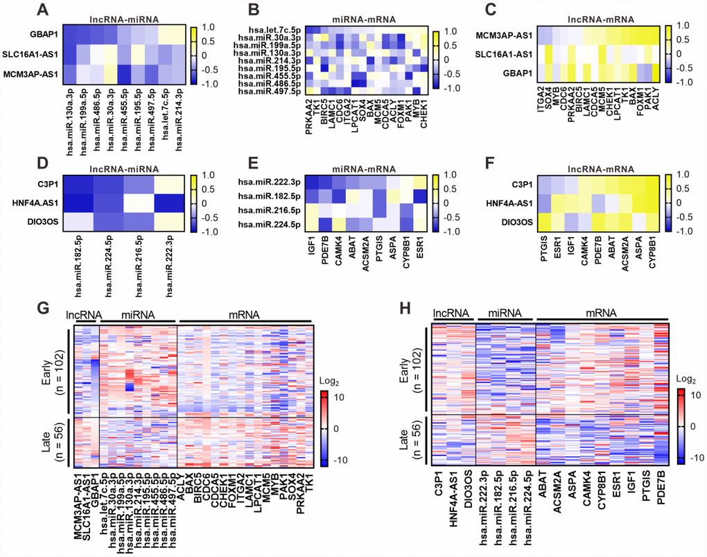 Correlation validation for the six lncRNAs with their associated miRNA and mRNAs in 158 clinical samples of HCC. RT-PCR was performed to detect the expression of the six lncRNAs associated miRNA and mRNAs in 158 clinical samples. Pearson correlation analysis for six key lncRNAs with their associated miRNA and mRNAs was performed based on RT-PCR results. Pearson correlograms of lncRNA-miRNA paris (A), lncRNA-mRNA pairs (B) and mRNA-miRNA pairs (C) in upregulated lncRNAs including GBAP1, MCM3AP-AS1 and SLC16A1-AS1. lncRNA-miRNA paris (D), lncRNA-mRNA paris (E) and mRNA-miRNA paris (F) in downregulated lncRNAs including C3P1, HNF4A-AS1 and DIO3OS by Pearson correlation analysis. The correlation coefficient R value ranges from -1 to 1, the color of which changes from blue to yellow. 158 clinical samples were diveded into early and late groups according to TMN stage (early = TNM I or II; late = III), the expression of the six lncRNAs associated miRNA and mRNAs was shown as heatmaps. (G) Expression of the upregulated lncRNA GBAP1, MCM3AP-AS1 and SLC16A1-AS1 and their ssociated miRNA and mRNAs. (H) Expression of th edownregulated lncRNA C3P1, DIO3OS, and HNF4A-AS1 and their ssociated miRNA and mRNAs. Log2(P) value was shown as color ranging from blue to red.