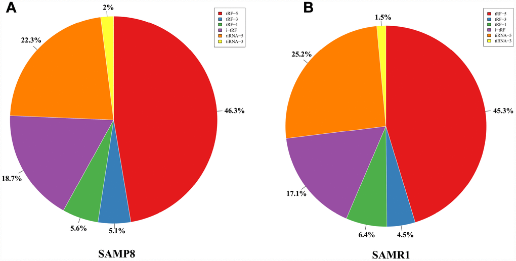 Proportions of tRF-5, tiRNA, i-tRF, tRF-3, and tRF-1 in the two groups. (A) Proportions in SAMP8 mice. (B) Proportions in SAMR1 mice.