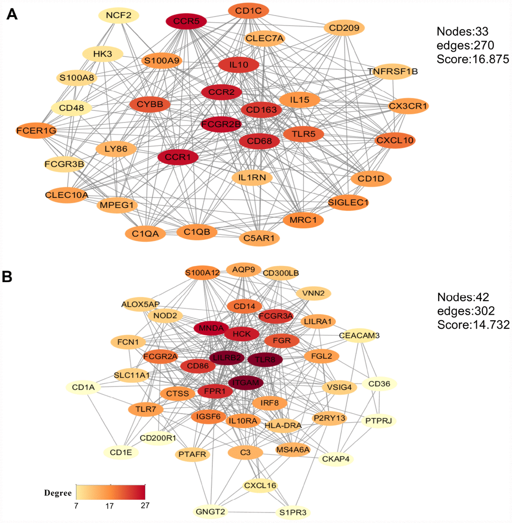 Main modules identified through protein-protein interaction network analysis. (A) CCR5 module. (B) ITGAM module. The color of a node in each module reflects its connectivity degree score.