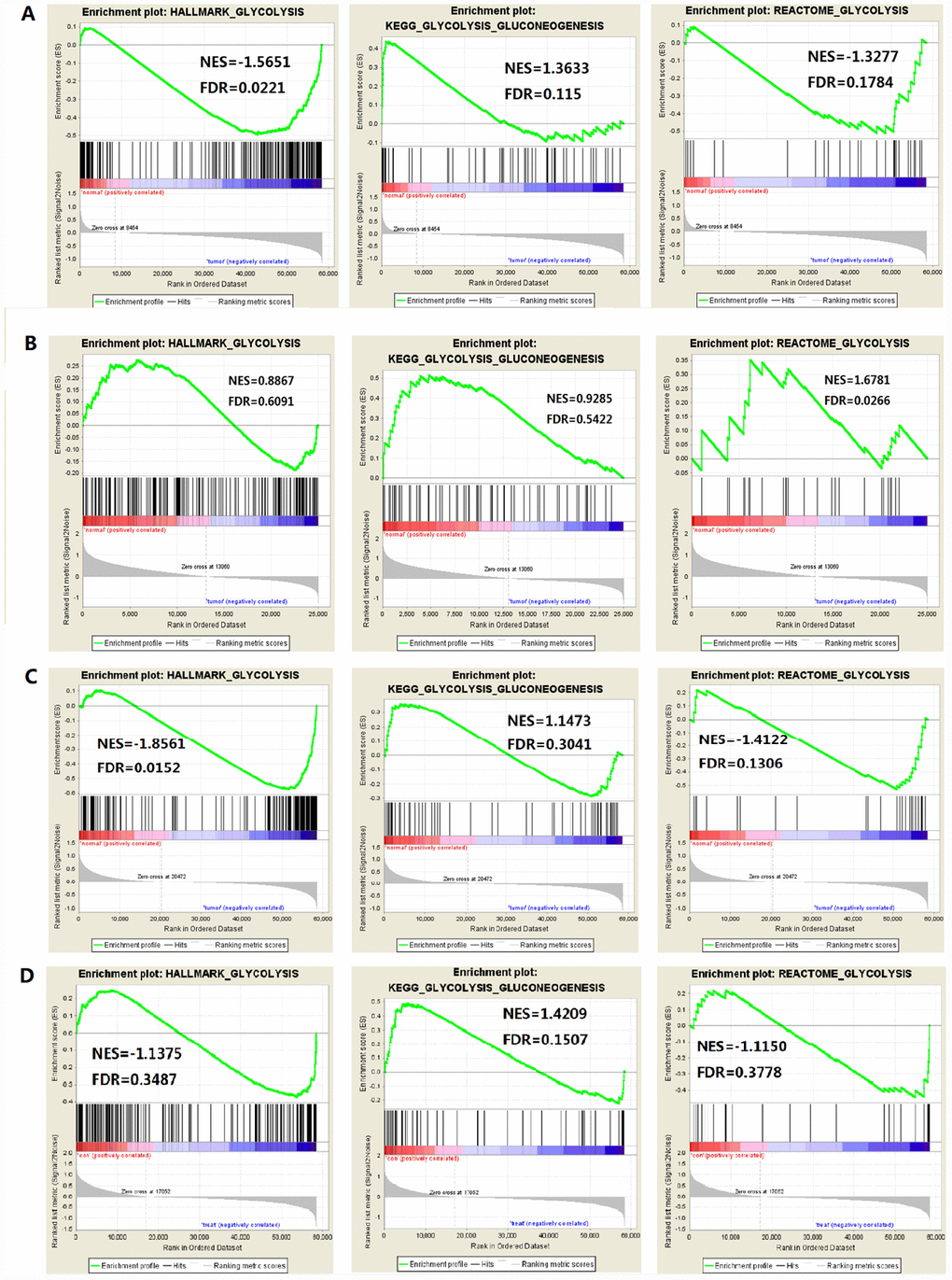 Enrichment plots of three glycolysis-related gene sets in each tumor (FDR is the P value after correction by multiple hypothesis test). (A) HCC, (B) Colorectal adenocarcinoma, (C) Breast invasive carcinoma, (D) Renal clear cell carcinoma.