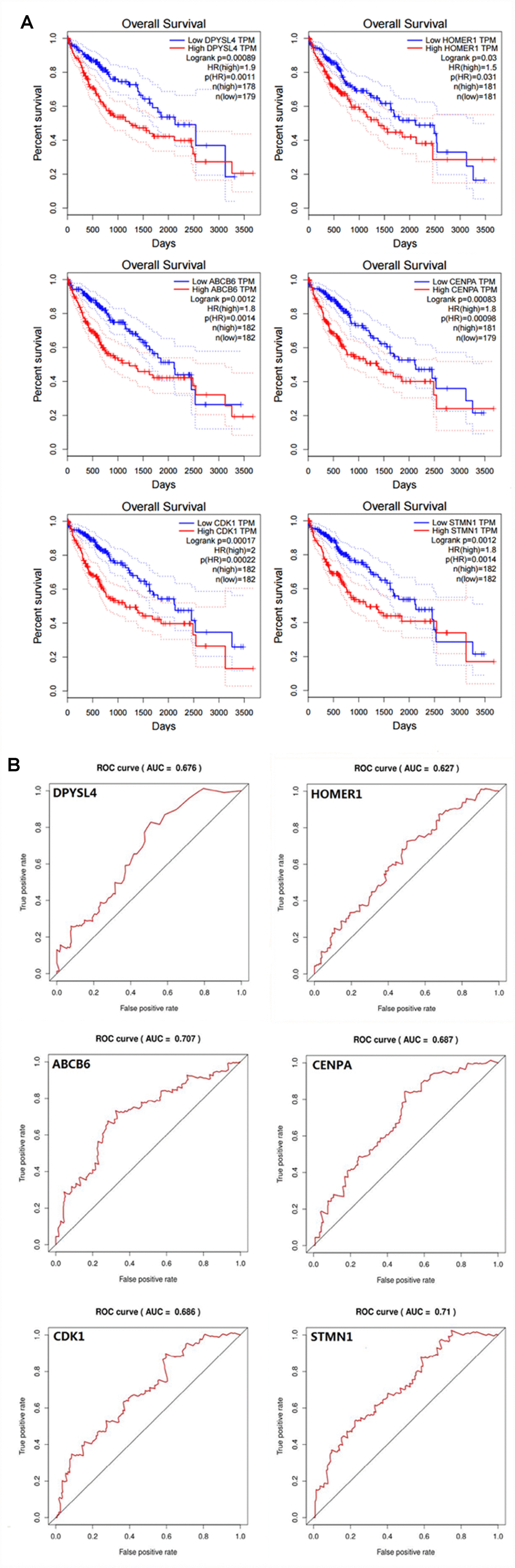 Verifying the prognostic and diagnostic value of risk signature is better than single biomarker. (A) K-M analysis, (B) ROC curve.