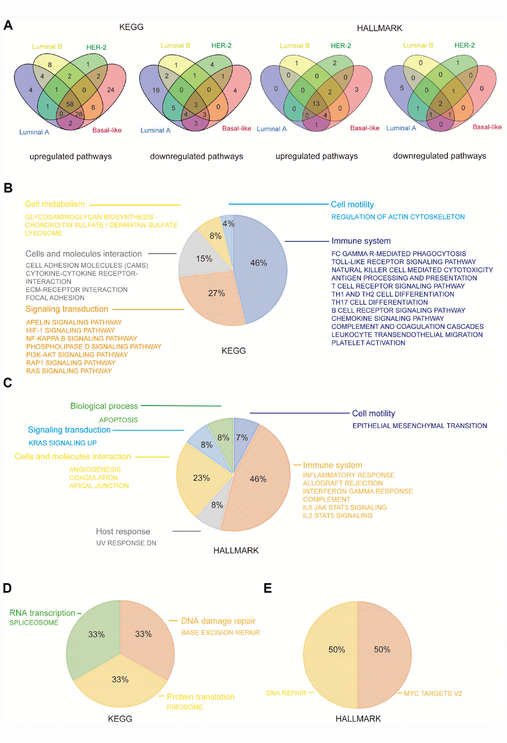 CD204 related common KEGG and HALLMARK pathways among the four subtypes of breast cancer. Venn diagram depicting the upregulated and downregulated pathways (A). Constitution of common upregulated KEGG pathways (B). Constitution of common upregulated HALLMARK pathways (C). Constitution of common downregulated KEGG and HALLMARK pathways (D).