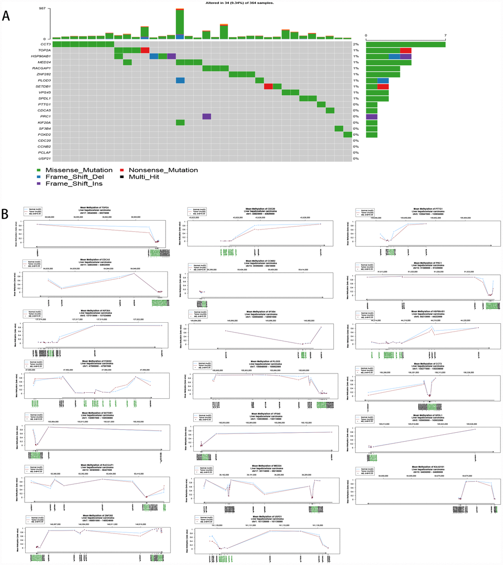 (A) Mutation of the 20 hub genes. (B) Methylation of the 20 hub genes.