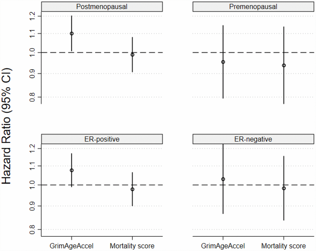 Associations for the two epigenetic mortality predictors and invasive breast cancer incidence for (A) postmenopausal breast cancer, (B) premenopausal breast cancer, (C) estrogen receptor positive tumors and (D) estrogen receptor negative tumors.