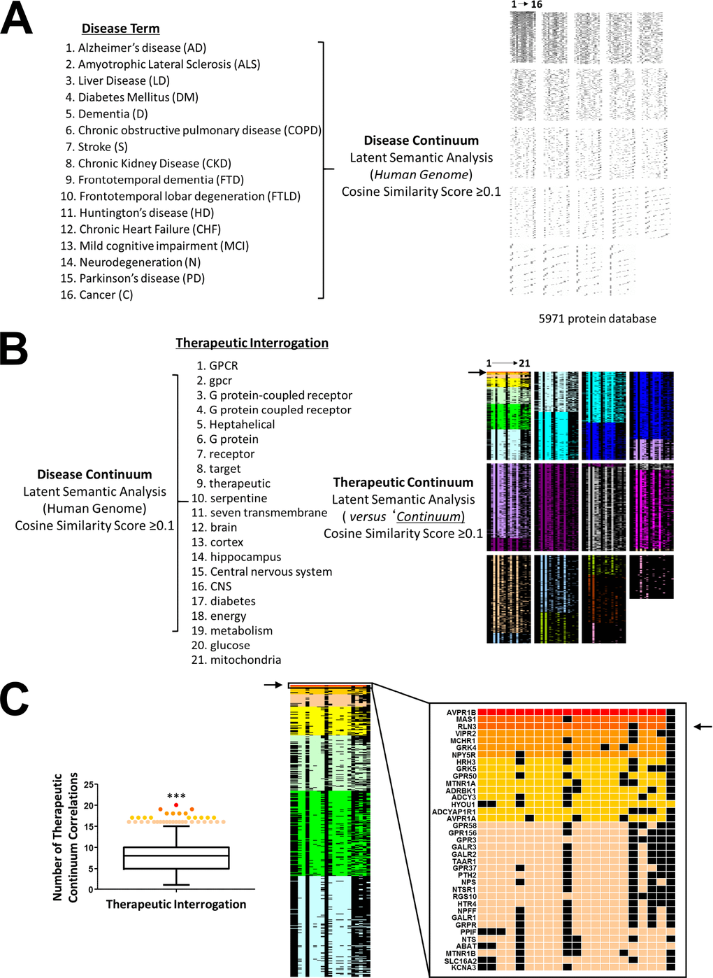 Unbiased analysis of the potential role for RXFP3 in controlling age-related disorders. To test the validity of our hypothesis in an unbiased manner, we used reverse-database analysis using latent semantic indexing platform GeneIndexer. (A) We started by creating a database of proteins, associated with input interrogator terms of the majority of age-related disorders, which we termed the ‘Disease Continuum’. (B) We next tried to identify a potential therapeutic target for these diseases, a GPCR in particular. To do so we investigated the Disease continuum protein dataset with GPCR-related terms, to create the ‘Therapeutic continuum’. (C) The proteins were ranked according to the cosine similarity scores, and based on a correlation ranking probability score (pth percentile. The top three ranked multidimensional proteins that could represent effective age-related disease targets were, AVPR1B, MAS1 and RLN3, the cognate ligand for the RXFP3.