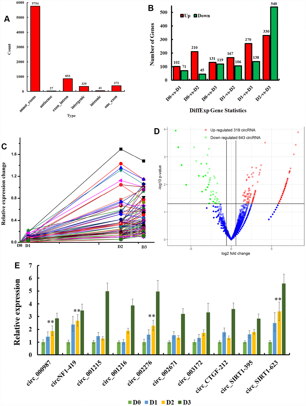 CircRNAs expression in D-galactose-induced deficits astrocyte. (A) 7376 astroglia circRNAs were identified and their types were showed; (B) Different expression of circRNAs in D-galactose induced aging astrocyte; (C) Time series analysis of circRNAs positively correlated to the degree of aging; Different expression of circRNAs in D2 (D); Aging regulates circRNAs as circ