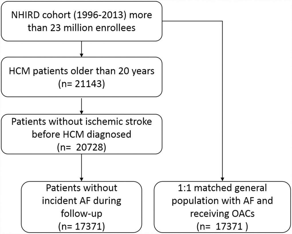 Patient flow diagram. Abbreviations: AF, atrial fibrillation; HCM, hypertrophic cardiomyopathy; NHIRD, National health insurance research database.