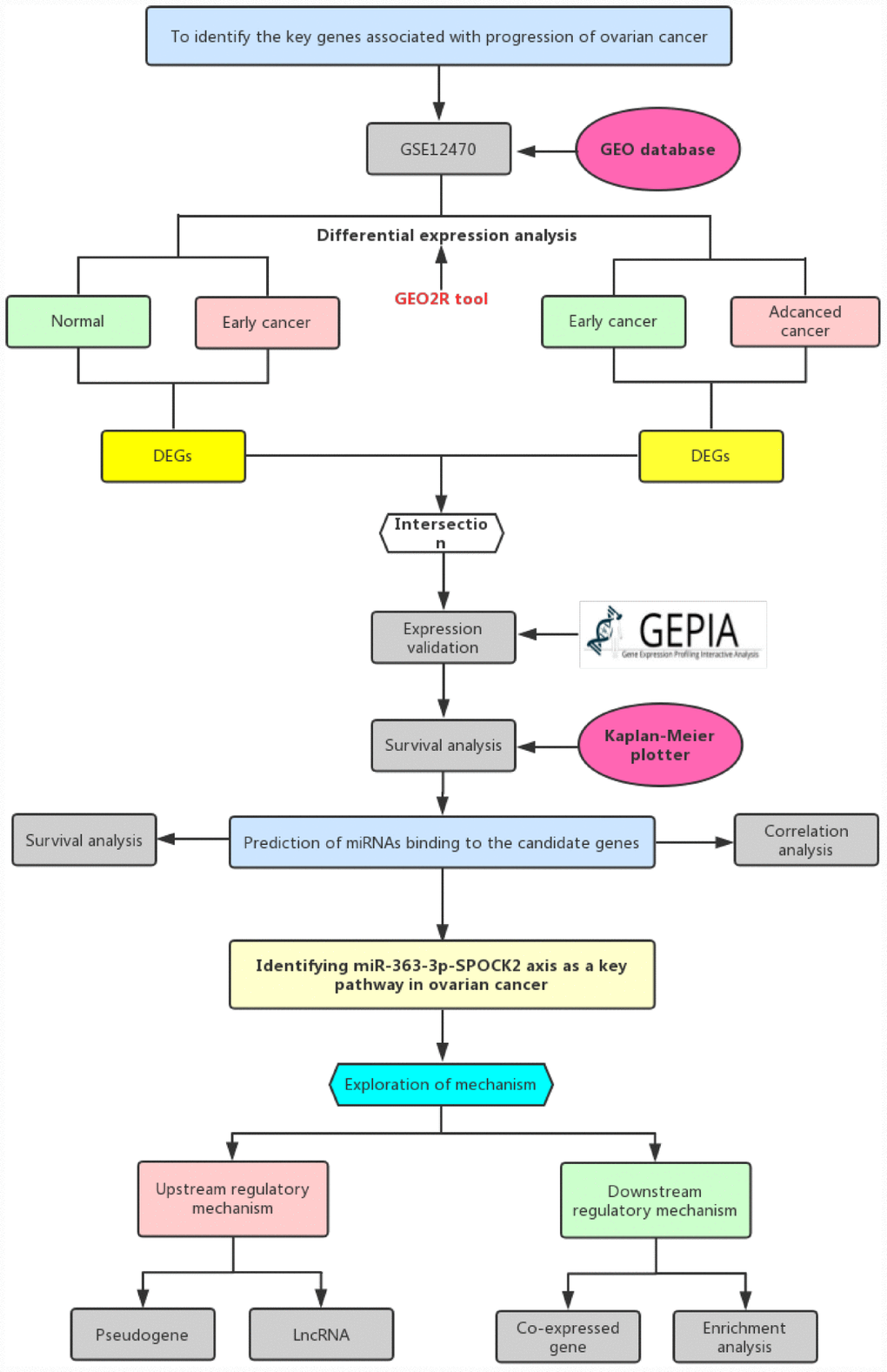 The visual flow-process diagram of this study.