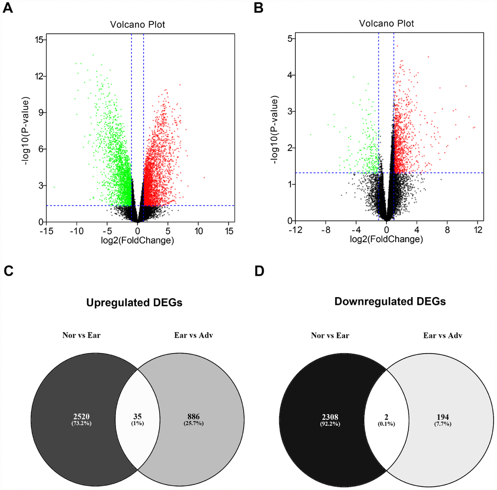 Identification of differentially expressed genes (DEGs) between ovarian cancer and normal controls. (A) Volcano plot showing the DEGs between normal samples (n=10) and early ovarian cancer (n=8). (B) Volcano plot showing the DEGs between early ovarian cancer (n=8) and advanced ovarian cancer (n=35). Note: the black dots represent genes that are not significantly differentially expressed between two groups, and the green dots and red dots represent the downregulated and upregulated genes in early ovarian cancer (compared with normal samples) and advanced ovarian cancer (compared with early ovarian cancer), respectively. |log2FC| > 1 and P-value C) The intersection of upregulated DEGs of “Nor vs Ear” and “Ear vs Adv”. (D) The intersection of downregulated DEGs of “Nor vs Ear” and “Ear vs Adv”. “Nor” vs Ear” represents the differential expression analysis between normal samples and early ovarian cancer. “Ear vs Adv” represents the differential expression analysis between early ovarian cancer and advanced ovarian cancer.