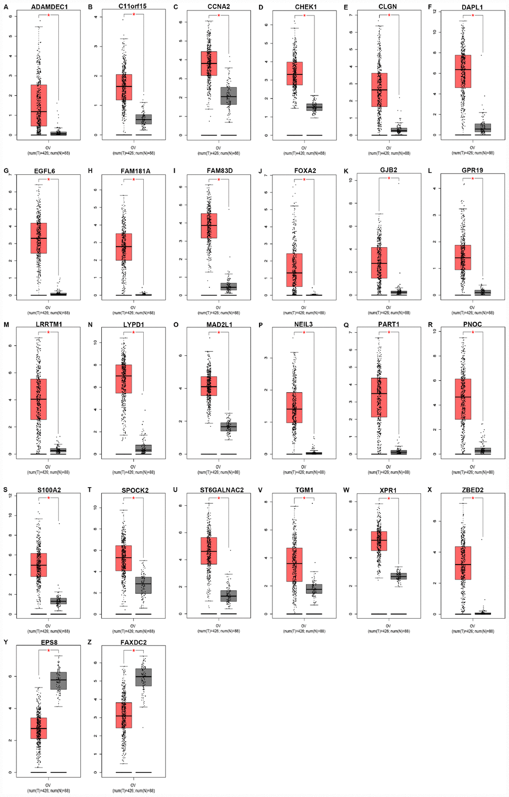 Expression levels of 26 key genes (ADAMDEC1 (A), C11orf15 (B), CCNA2 (C), CHEK1 (D), CLGN (E), DAPL1 (F), EGFL6 (G), FAM181A (H), FAM83D (I), FOXA2 (J), GJB2 (K), GPR19 (L), LRRTM1 (M), LYPD1 (N), MAD2L1 (O), NEIL3 (P), PART1 (Q), PNOC (R), S100A2 (S), SPOCK2 (T), ST6GALNAC2 (U), TGM1 (V), XPR1 (W), ZBED2 (X), EPS8 (Y) and FAXDC2 (Z)) in ovarian cancer determined by GEPIA database. “*” represents “P-value 2(TPM+1). TPM=Transcript per million.