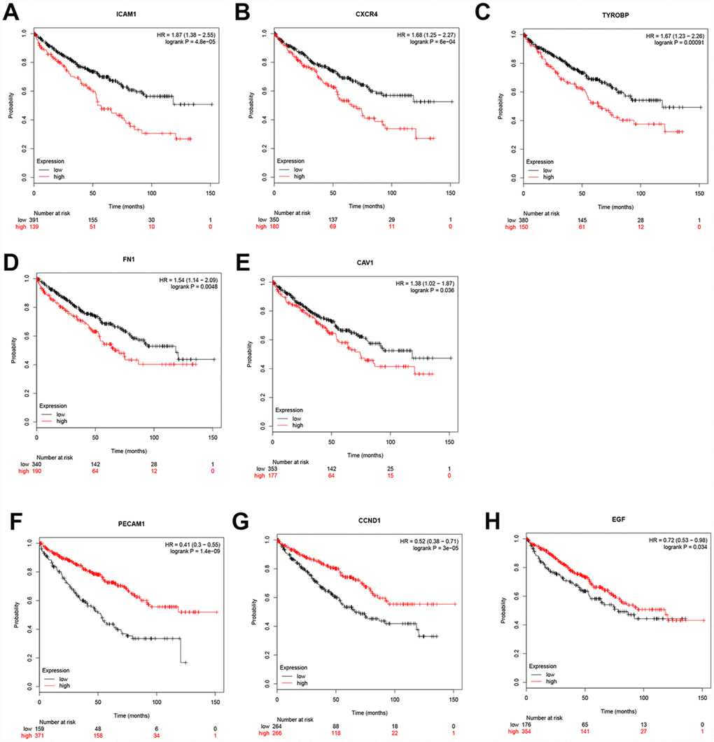 Univariate survival analysis of the hub genes was performed using the Kaplan-Meier curve. The 8 genes of 10 hub genes showed significant difference in OS. Each elevated expression in the 5 significant hub genes showed obviously significant worse OS in ccRCC samples, whereas elevation of the remaining 3 hub genes showed better OS (Logrank P 