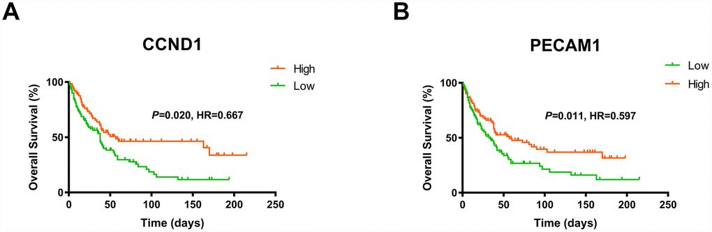 The gene of CCND1 and PECAM1/CD31 expression significantly correlated OS and PFS in an independent external ccRCC cohort GSE3538.