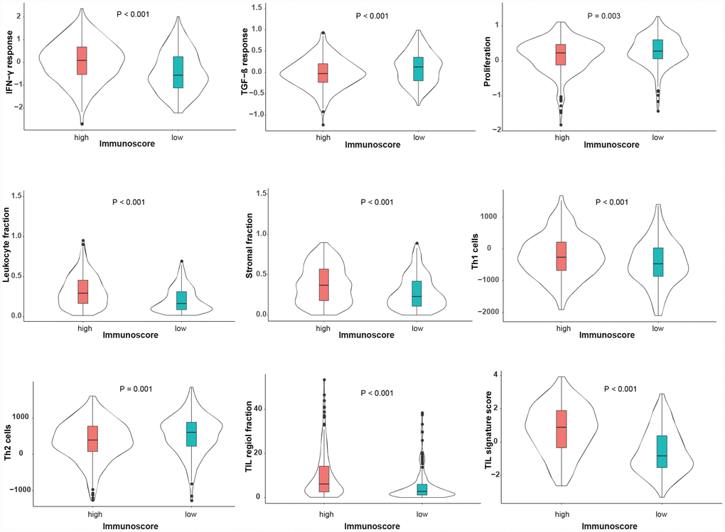 Immune-related features between high- and low-immunoscore groups in the TCGA dataset. These immune-related features are described according to the immune classification study of Thorsson et al. [34]. The P-values were calculated using one-way ANOVA.