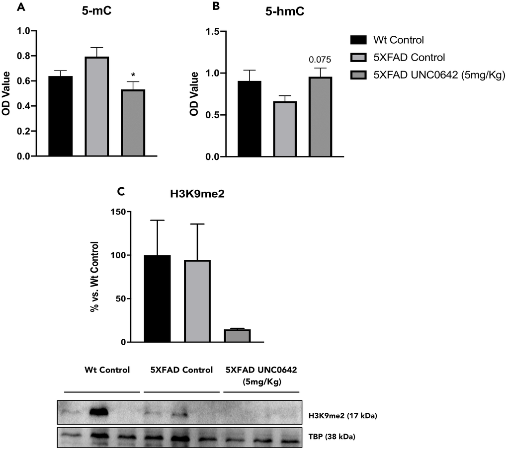 Global 5-methylated (A), and 5-hydroxymethylated cytosine levels (B) in the hippocampus from different mice groups. Representative Western Blot, and quantification for H3K9me2 (C). Values in bar graphs are adjusted to 100% for protein levels of the Wt Control. Values represented are mean ± Standard error of the mean (SEM); (n = 12 (Wt Control n = 4, 5XFAD Control = 4, 5XFAD UNC0642 n = 4)). *p