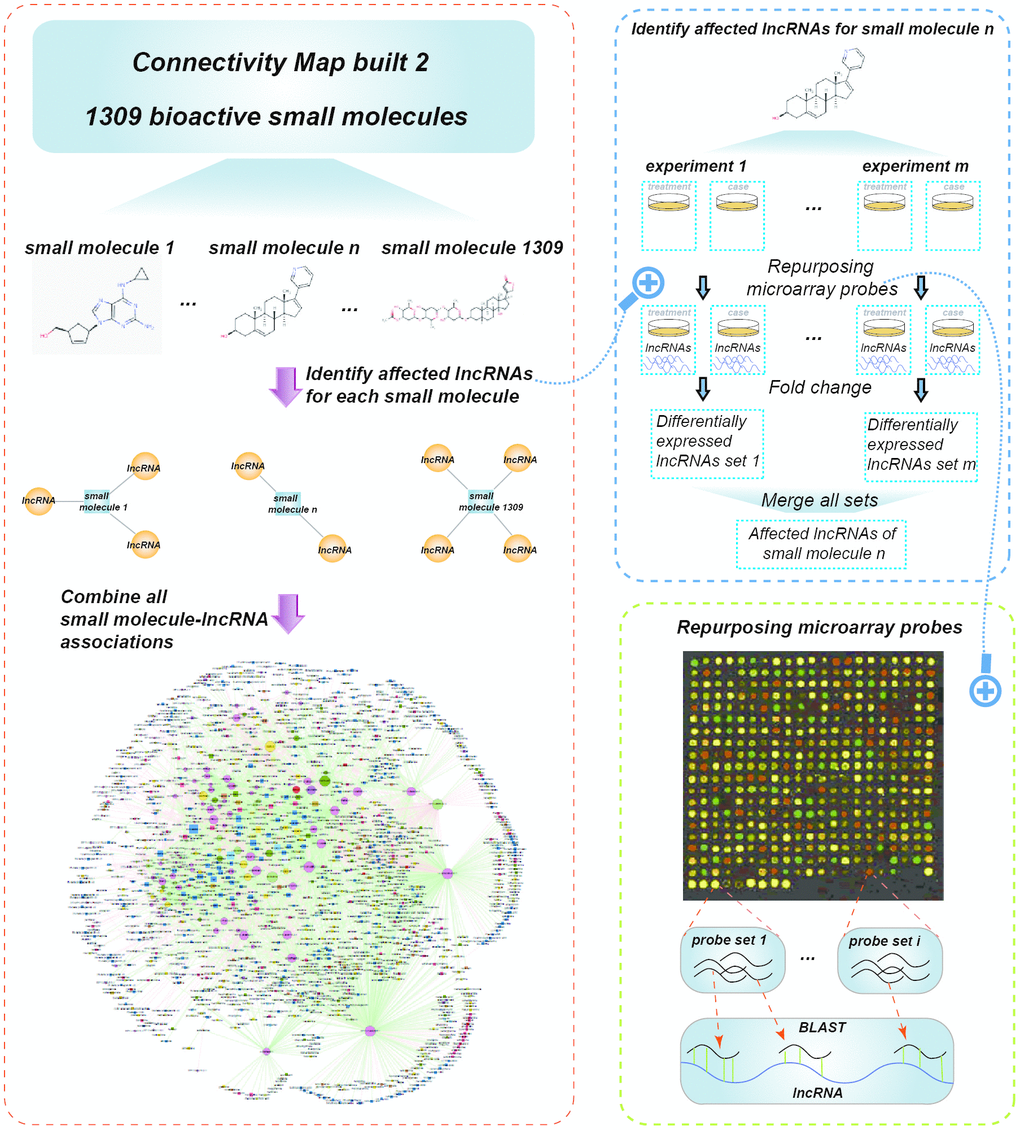 Schematic data flowchart of SMLN.