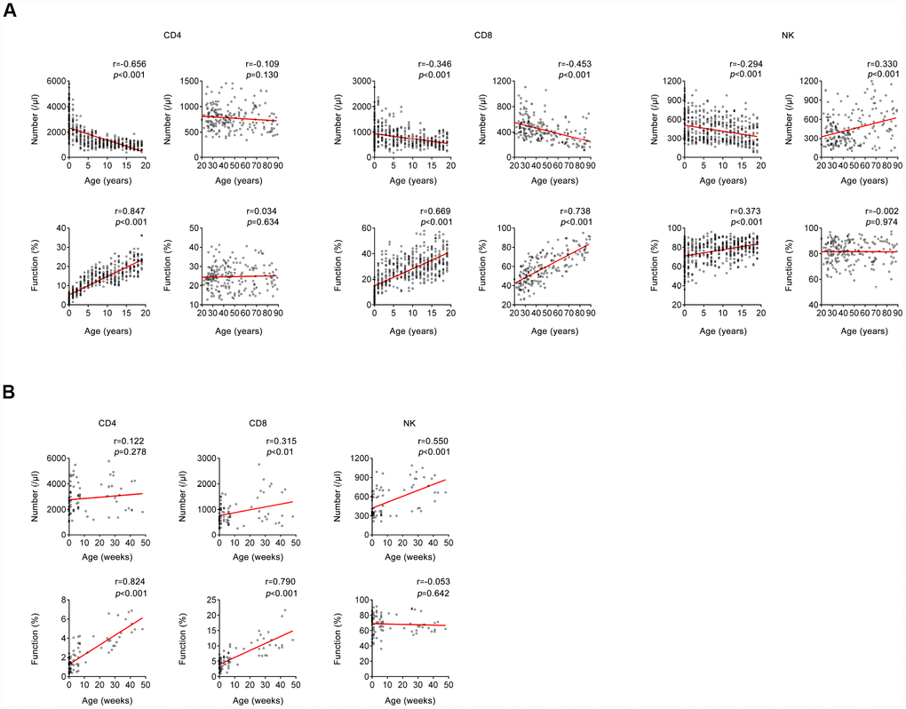 Correlation between host immunity and age. (A) Correlation between host immunity (the number and function of CD4+, CD8+ T cells, and NK cells) and age (between 0 and 20 years; > 20 years). (B) Correlation between host immunity (the number and function of CD4+, CD8+ T cells, and NK cells) and age (between 0 and 50 weeks). Each symbol represents an individual donor.