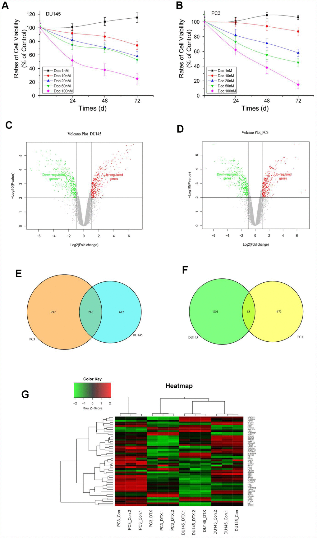 Cell viability of PCa cells treated with different concentrations of Doc, volcano plots and Venn diagrams of DEGs. (A) DU145 cells treated with different concentrations of Doc; (B) PC3 cells treated with different concentrations of Doc. Viability of DU145 and PC3 cells was determined by MTT assay. Error bars = SEM (n = 6). (C and D) Volcano plots of DEGs from DU145R and PC3R compared with their parent cell lines respectively. X-axes show the fold changes (log-scaled), and Y-axes indicate p values (log-scaled). Red and green dots represent upregulated and downregulated genes, respectively. Grey dots represent non-DEGs. (E and F) VennPlots for the downregulated and upregulated DEGs. (G) Heatmap of DEGs overlapping between the DU145R and PC3R datasets. Red represents higher expression and green lower expression. The criteria used to select DEGs were P1. DEGs, differentially expressed genes.