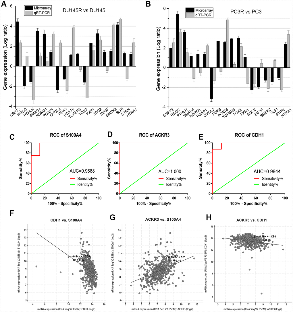 Validation of DEGs identified in the microarray analysis. (A and B) qRT-PCR analysis of 18 DEGs in Doc-resistant DU145R and PC3R smples. (C–E) ROC curves for S100A4, ACKR3 and CDH1 in the microarray. (F–H) Correlation between the expression levels among S100A4, ACKR3 and CDH1. Expression data are represented by a log ratio calculated by comparing ΔCq from the DOC-R samples with ΔCq from the controls. ΔCq was calculated as the difference between Cq of the targeted genes and Cq of the endogenous control gene ACTB.