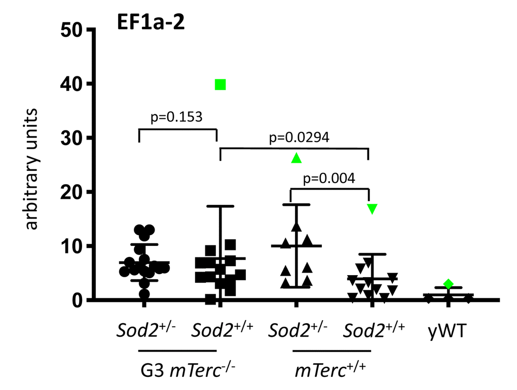 Supplementary Figure 2C