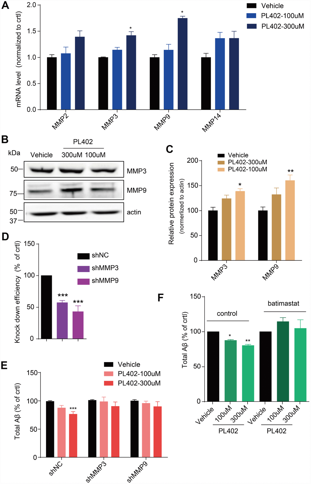 PL402 promotes the expression of MMP3 and MMP9 which are involved in the effect of PL402 on Aβ level modulation. (A) The mRNA level of Aβ degradation enzymes (MMPs) in SK-N-SH cells treated by vehicle (0.1% DMSO) or PL402 at 100μM and 300μM for 24h. N=4. (B–C) Representative image of a western blot showing the expression of MMP3 and MMP9 in SK-N-SH cells after treatment with vehicle (0.1% DMSO), or PL402 at 100μM and 300μM for 24h. Actin was used as a loading control (B). (C) The quantification analysis of (B) using ImageJ. N=3. (D) The mRNA level of MMP3 and MMP9 in SK-N-SH cells with the infection of scrambled, MMP3 or MMP9 gene-specific shRNA. N=4. (E) The levels of total Aβ produced by SK-N-SH cells measured by ELISA after treatment with vehicle (0.1% DMSO) or PL402 at 100μM and 300μM for 24 h in the cells infected with scrambled, MMP3 or MMP9 gene-specific shRNA. N=4. (F) The total Aβ level in SK-N-SH cells with presence or absence of the PL402 for 24h after pretreatment with vehicle (0.1% DMSO), or 10μM MMP inhibitor (batimastat) for 1h. N=3. Data are presented as the mean ± SEM, n >3 independent experiments. *p