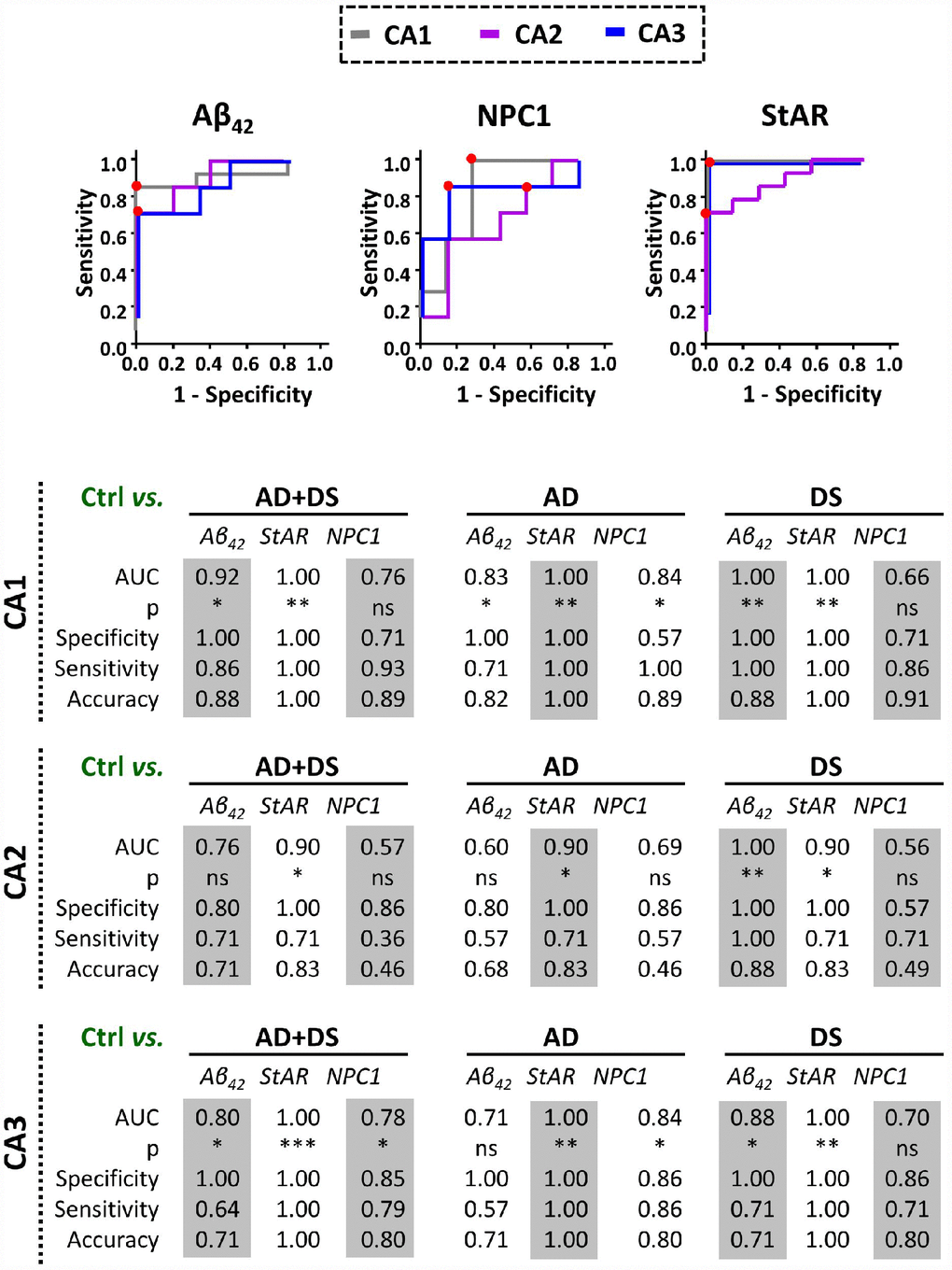 Discrimination capacity of amyloid accumulation and lysosomal/mitochondrial cholesterol carriers. ROC curves of immunolabel for Aβ42, NPC1, and StARD1 in each hippocampal region with the significantly highest AUC resulted in the comparison between control and AD, DS, or AD+DS groups (Lower panel). Red dots show the cutoff for the corresponding IHC-immunolabel that better discriminate AD and/or DS condition from normal controls in each hippocampal region. (*) p