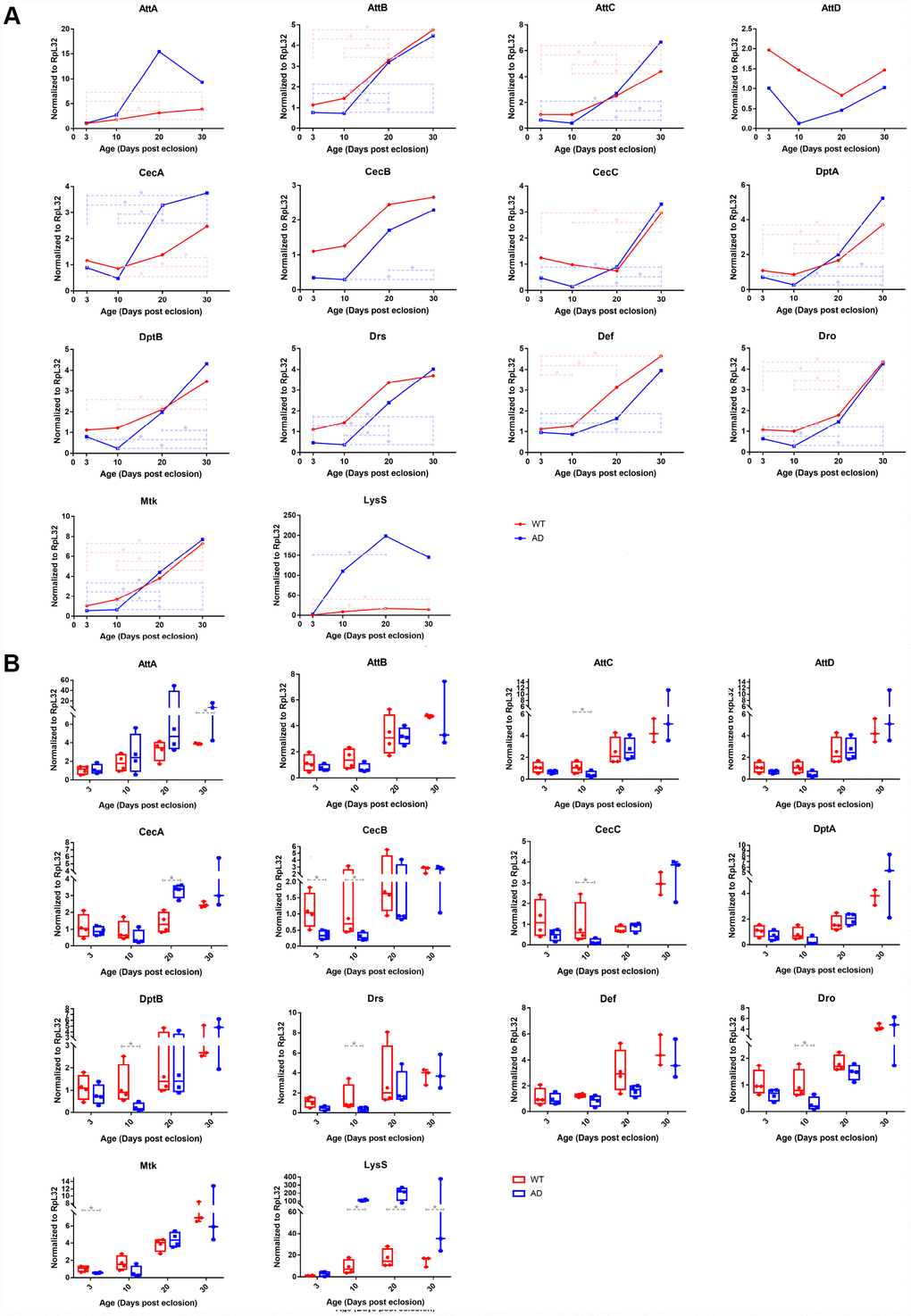 Quantitative PCR validation of differentially expressed immune-related genes in control and Aβ transgenic flies. The results confirmed age-associated alterations in expression trends and transcriptional regulatory levels among the AMP and LysS genes between healthy control and disease model flies. The line chart (A) displays the time series (3-, 10-, 20-, and 30-days post eclosion) gene expression in the head tissue of WT (red, round dots) and AD (blue, square dots) flies. The box plot (B) exhibits the comparison of mRNA levels between normal (red, left) and disease (blue, right) model flies among the age groups.