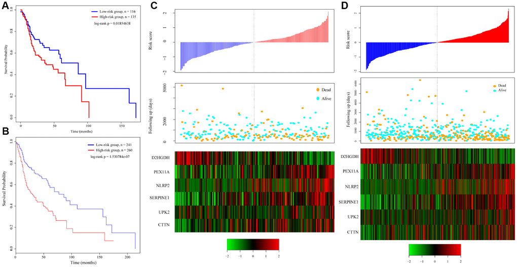 Relation between the 6-gene signature and cancer risk. (A) Kaplan-Meier curve for the test set sample. (B) Kaplan-Meier curve in all TCGA tumor samples. (C) Relationship between expression of the 6-gene signature and risk scores in test set samples. (D) Relationship between expression of the 6-gene signature and the risk score in all TCGA samples.