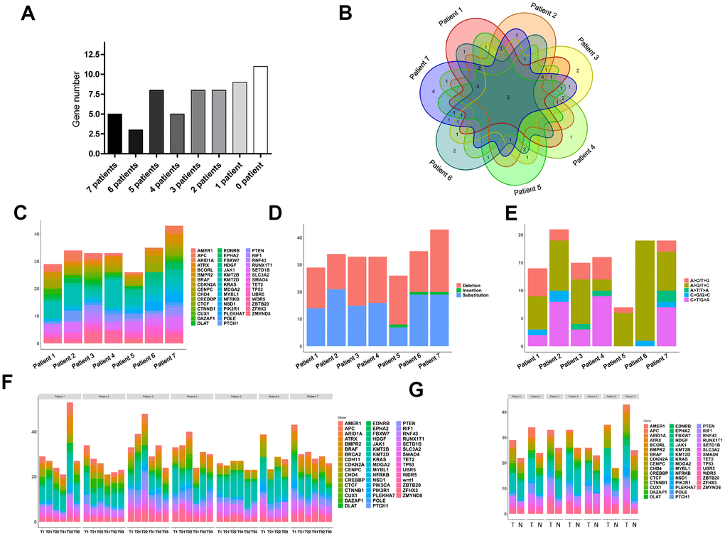 Widespread cancer-associated mutations in tumor and normal tissues. (A) Distribution of mutations in genes we selected in the seven CRC patients; the grayscale reflects the frequency of mutations. (B) Wayne diagram of the distribution of mutated genes in patients. (C) Distribution of mutated genes in the seven CRC patients. (D) Distribution of deletion and substitution mutations in the seven patients. (E) Distribution of subdivided substitutions in the seven patients. (F) Distributions of mutant genes in tissue samples from the central peripheral regions of the tumors in the seven CRC patients. (G) Distributions of mutant genes in samples from T1 tumors and normal colonic tissue from the seven CRC patients.