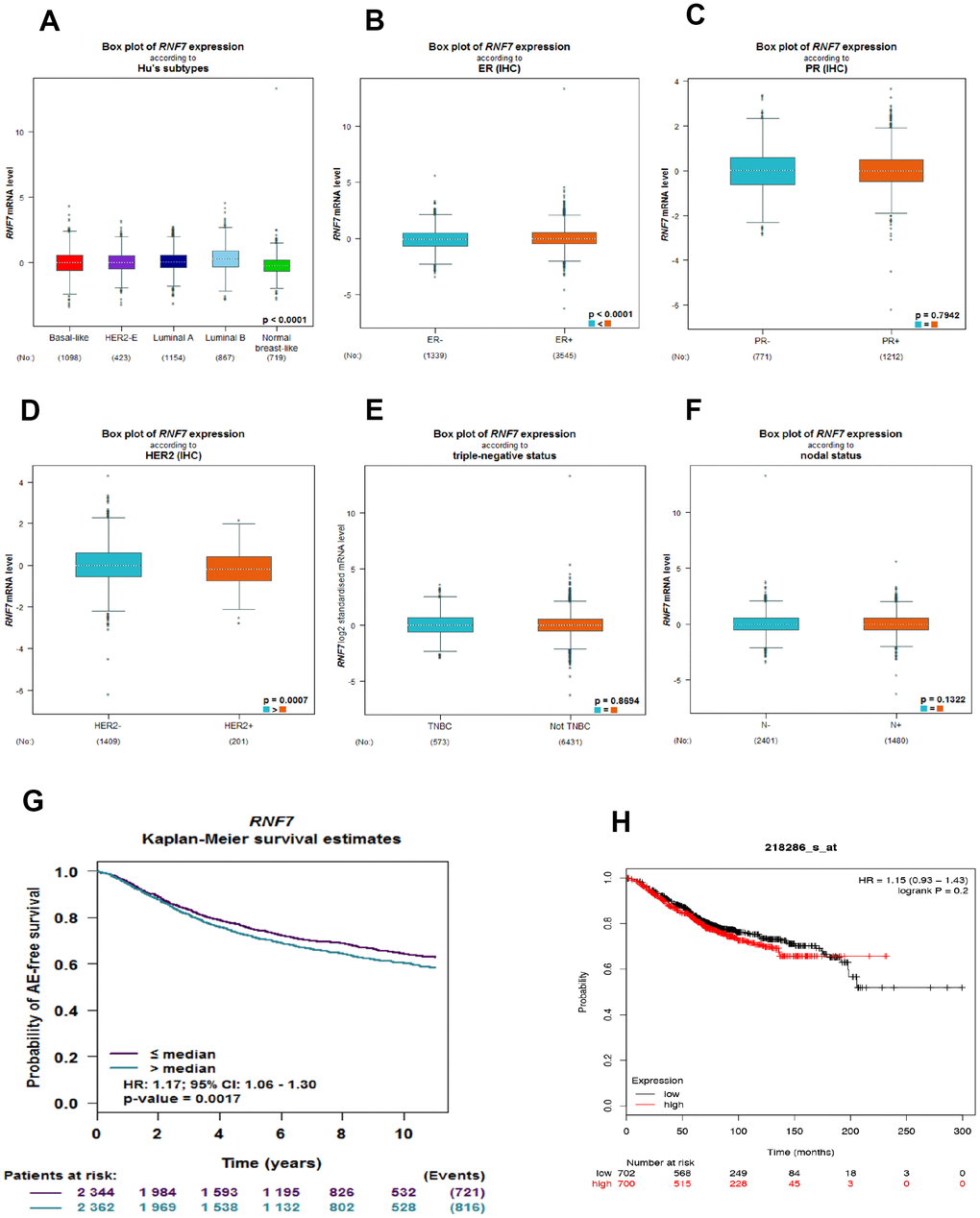 SAG is upregulated in breast cancer and associated with a poorer prognosis. (A) Box plots showing SAG mRNA expression in the indicated breast cancer subtypes. (B–F) Box plots showing SAG mRNA expression in breast cancers characterized based on ER, PR, HER2, triple-negative, and nodal status. The Kaplan-Meier curves for SAG expression in breast cancer were constructed using UCSC bc-GenExMiner 4.3 (G) or KM-plot (H).