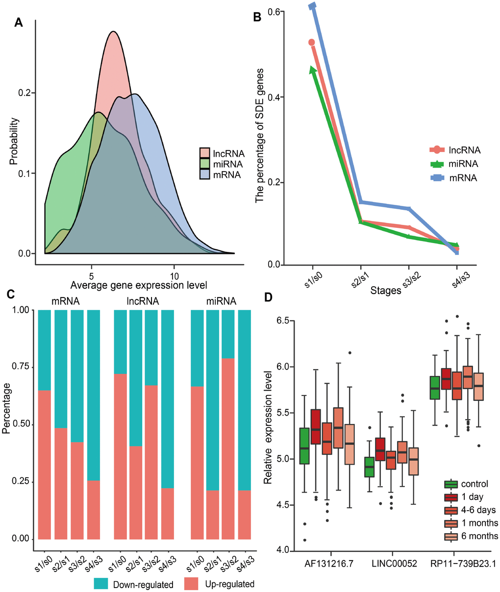 Global gene expression distribution in MI and analysis of SDE genes during MI progression. (A) Expression distribution of mRNAs, lncRNAs, and miRNAs in MI patients. (B) Percentage of SDE mRNAs, lncRNAs, and miRNAs estimated by comparing expression data between adjacent stages during MI progression. S0, control; S1, day 1 of MI; S2, 4-6 days after MI; S3, 1 month after MI; S4, 6 months after MI. (C) Percentage of upregulated and downregulated SDE genes during MI progression. (D) Relative expression levels of three lncRNAs that showed differential expression at each MI stage.