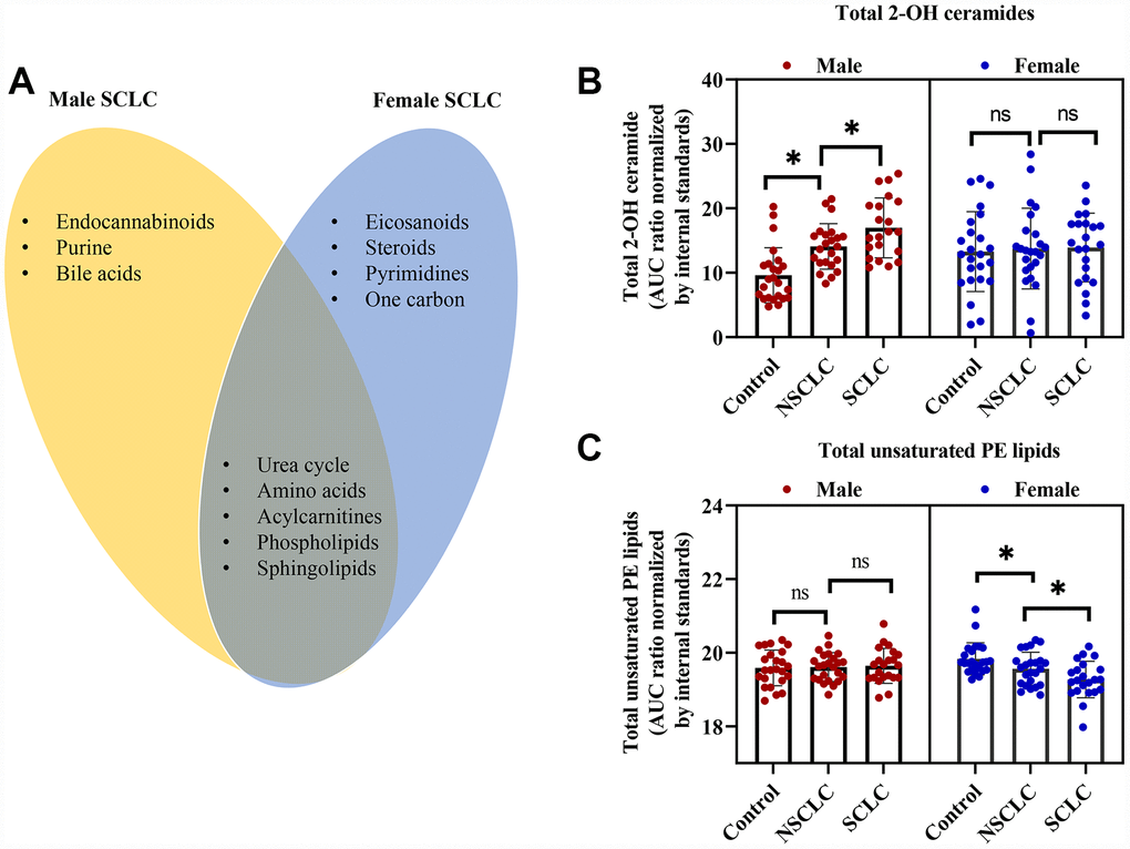 The shared and unique metabolic signature between male and female patients with SCLC. (A) The common and unique disturbed pathways in male and female SCLC compared to NSCLC and controls. (B) Total 2-hydroxy (2-OH) ceramides were significantly higher in male SCLC, while, no differences were observed in female patients with SCLC. (C) Total unsaturated PE was dramatically lower in female SCLC without significant changes in male SCLC. One-way ANOVA followed by Tukey’s test. * P 