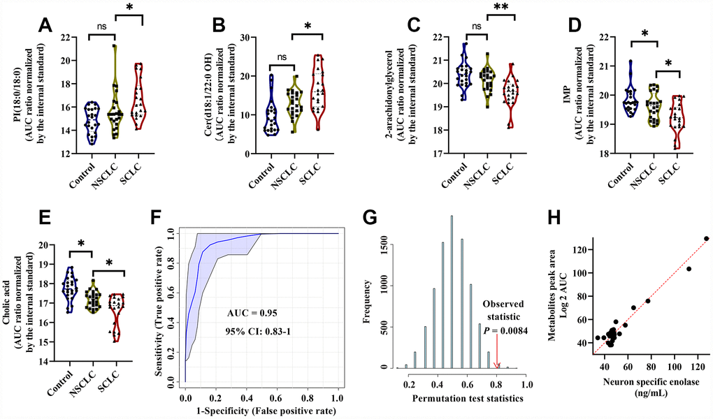 The diagnostic performance of the developed multianalyte discriminant model for male SCLC in the discovery set. (A–E) Violin plots showed the relative levels of five selected metabolites in the model. (A) PI(18:0/18:0); (B) Cer(d18:1/22:0 OH); (C) 2-Arachidonoylglycerol; (D) IMP; and (E) Cholic acid. The AUC ratio for each metabolite was calculated by the AUC of the corresponding internal standard. One-way ANOVA followed by Tukey’s test was used. *P F) ROC curve analysis for distinguishing male SCLC patients from NSCLC and controls. (G) The random permutation test to examine the robustness of the model. Permutation P-value represented the probability that the classification of SCLC and NSCLC and controls using the selected metabolites could be obtained by chance. (H) Multiple linear regression analysis showed a significant correlation between the five selected metabolites and serum neuron-specific enolase (NSE) in male SCLC patients. R2 = 0.63, P 