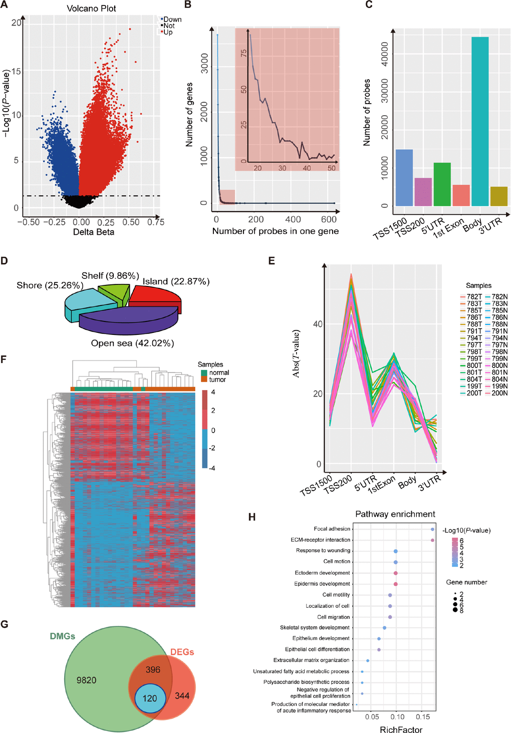 Analysis using the Illumina 450K bead array and RNA-Seq data for 15 paired ESCC samples. (A) Volcano plot representing the probes for differentially-methylated genes. The probes for hypermethylated genes are shown in red while probes for hypomethylated genes are shown in blue (PB) Frequency line graph shows the coverage rate of differentially-methylated regions (DMPs) in one gene. The results show that most genes have more than twenty DMPs. (C) Distribution of differentially-methylated sites in six gene regions (TSS1500, TSS200, 5’ UTR, 1st exon, gene body and 3’ UTR). (D) Proportions of differentially-methylated regions from genes with associated CpG islands (CGI). (E) Plot of the regression t-statistics between log-normalized RNA-Seq RPKM values and corresponding average DNA methylation β values for probes, stratified according to six genetic regions. The number of curves equals the number of samples. (F) Heatmap shows the differentially-methylated genes in 15 paired ESCC samples. (G) Venn plot shows the overlap between differentially-methylated genes and differentially-expressed genes in 15 paired ESCC samples. (H) KEGG and GO analysis of 120 candidate genes that are both differentially methylated and differentially expressed.