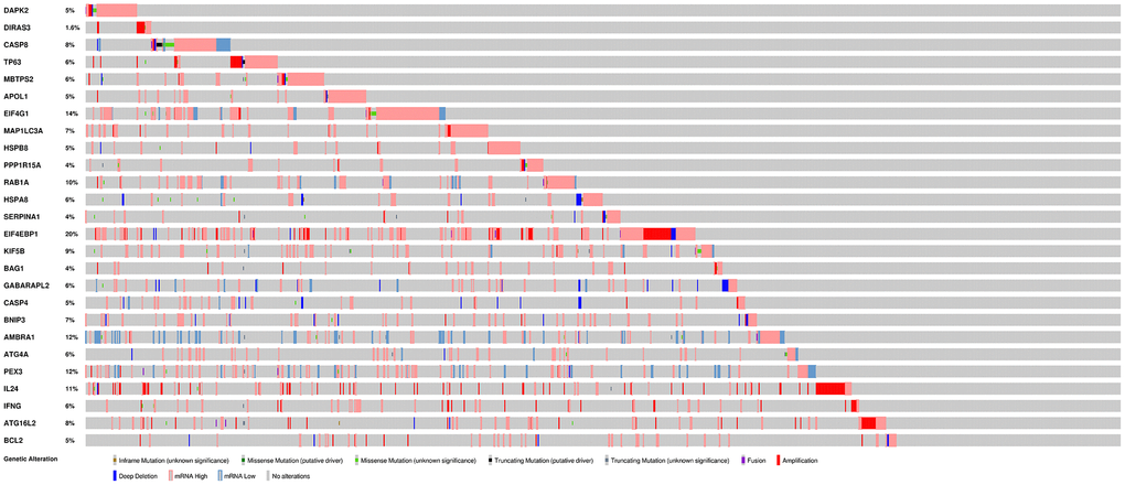 Mutations in prognosis-related ARGs.EIF4EBP1 is the most frequently mutated gene. A total of 22 genes have a mutation rate ≥ 5%.