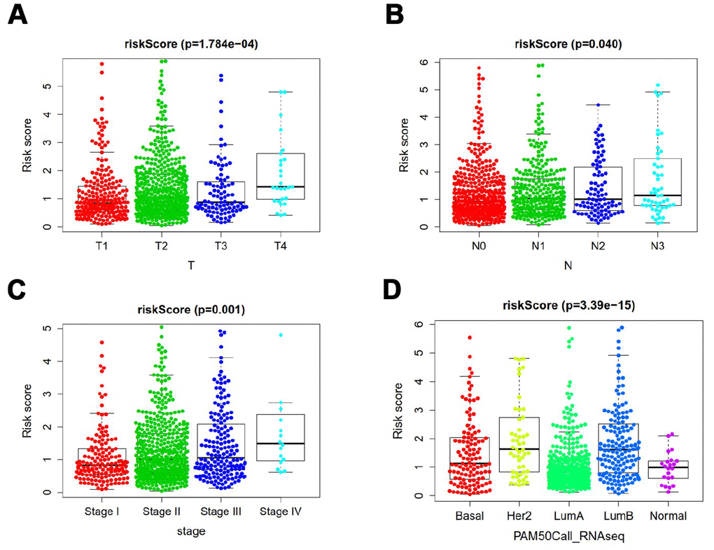 Clinicopathological significance of the prognostic index of breast cancer. P values were at different (A) tumor size, (B) lymph node metastasis (C) tumor stage, and (D) tumor subtypes.