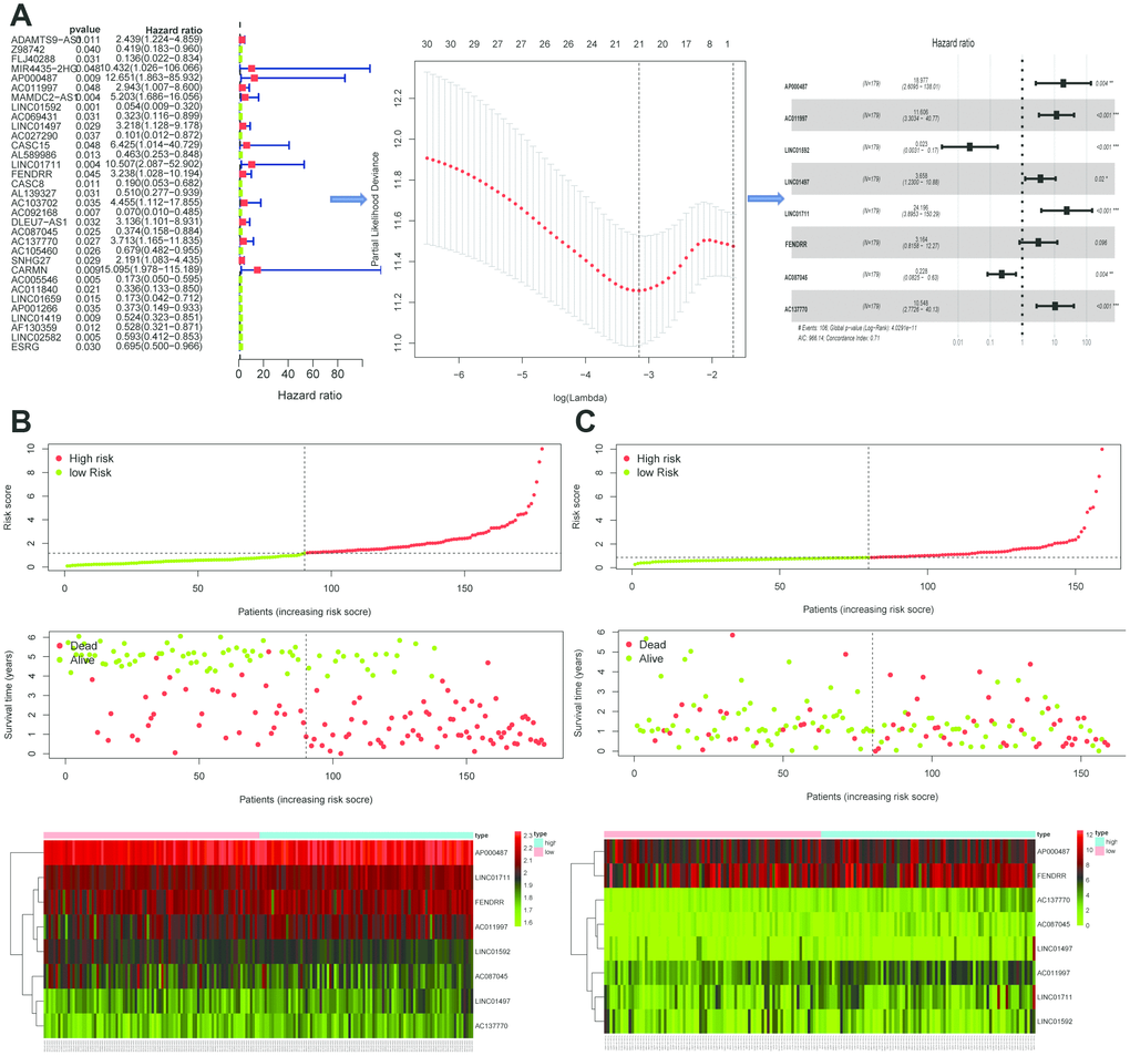 Establishment and validation of the eight-lincRNA prognostic signature. (A) The procedure of the establishment of the prognostic signature. (B–C) Correlation between the prognostic signature and the overall survival of patients in the GEO cohort (B) and TCGA (C) cohorts. The distribution of risk scores (upper), survival time (middle) and lincRNA expression levels (below). The black dotted lines represent the median risk score cut-off dividing patients into low- and high-risk groups. The red dots and lines represent the patients in high-risk groups. The green dots and lines represent the patients in low-risk groups.