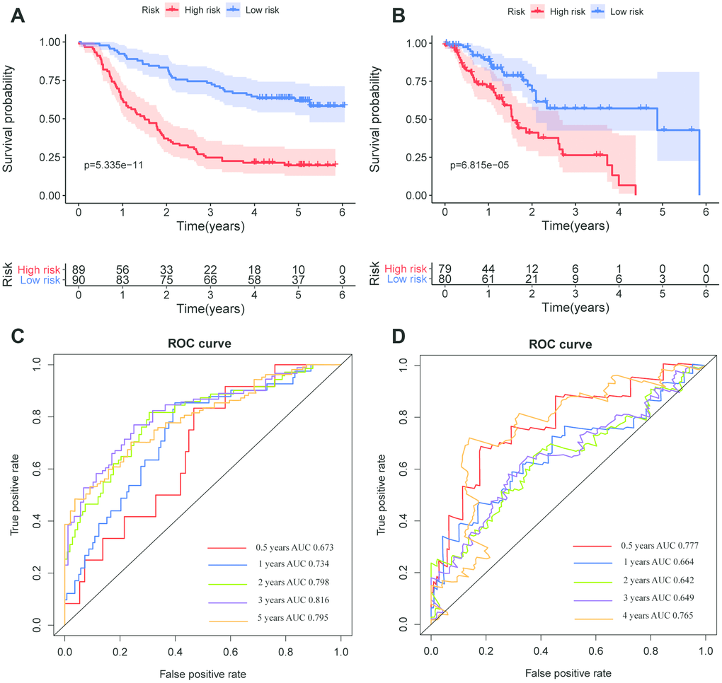 Kaplan–Meier survival and ROC curves of the eight-lincRNA prognostic signature. (A, B) Kaplan-Meier survival curves of overall survival among risk stratification groups in the GEO (A) and TCGA (B) set. (C, D) ROC curves with calculated AUCs for risk prediction in 0.5-, 1-, 2-, 3-, 5-years in the GEO (C) and TCGA (D) sets.