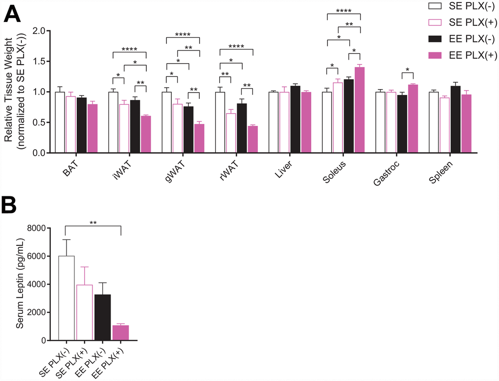 Sacrifice measures of PLX5622 and environmental enrichment. (A) Tissue weights normalized to body weight at sacrifice. (B) Serum leptin at sacrifice. (A, B) n=6 per group except gWAT, n=10 per group. *ppppSupplementary File 1.