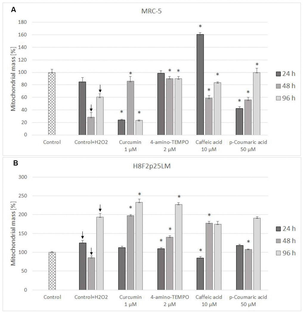 Changes in MRC-5 (A) and H8F2p25LM (B) cell mitochondrial mass after 24 h treatment with hydrogen peroxide and 24 h, 48 h, 96 h posttreatment with selected concentrations of antioxidants. * P≤0.05, t-Student test against H2O2 treated control; ↓ differences between treated and non-treated control.