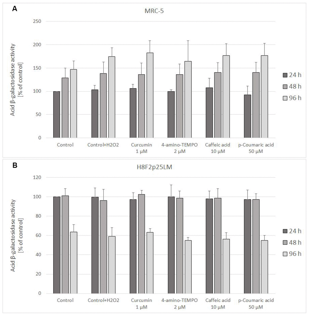 Senescence-associated β-galactosidase activity in MRC-5 (A) and H8F2p25LM (B) cells treated with hydrogen peroxide and posttreated with investigated compounds. Fluorescence value of control samples at 24-hour time point was considered 100% for each series. Data are presented as mean ± SD of 6 (MRC-5) or 2 (H8F2p25LM) independent experiments.