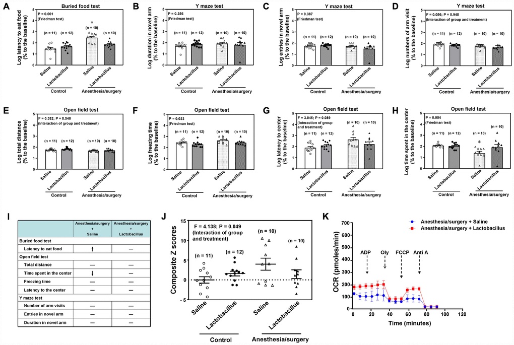 Lactobacillus attenuate the anesthesia/surgery-induced changes in the 18 months old mice. Interaction of anesthesia/surgery and the treatment of Lactobacillus on the buried food test (A), Y maze test (duration in novel arm, B), Y maze test (entries in novel arm, C), Y maze test (number of arm visit,D), open field test (total distance, E), open field test (freezing time, F), open field test (latency to center, G), open field test (Time spent in the center, H) in the 18 months old mice. The comparison of the qualitative (I) or quantitative (J) changes of the postoperative delirium-like behavior between the 18 months old mice received the anesthesia/surgery plus saline and the 18 months old mice received the anesthesia/surgery plus lactobacillus. The treatment of Lactobacillus attenuated the anesthesia/surgery-induced increase in the composite Z score. (K) The comparison of the brain mitochondrial function between the 18 months old mice received the anesthesia/surgery plus saline and the 18 months old mice received the anesthesia/surgery plus lactobacillus. The treatment of Lactobacillus attenuated the anesthesia/surgery-induced mitochondrial dysfunction. n = 10 - 12 in each group of the behavioral studies, and n = 6 in each group of the mitochondrial function studies. Friedman test was used to analyze the data in the (A–C, F and H). Two-way ANOVA and post-hoc Bonferroni comparison was used to analyze the data in the (D, E, G and J). * = P 