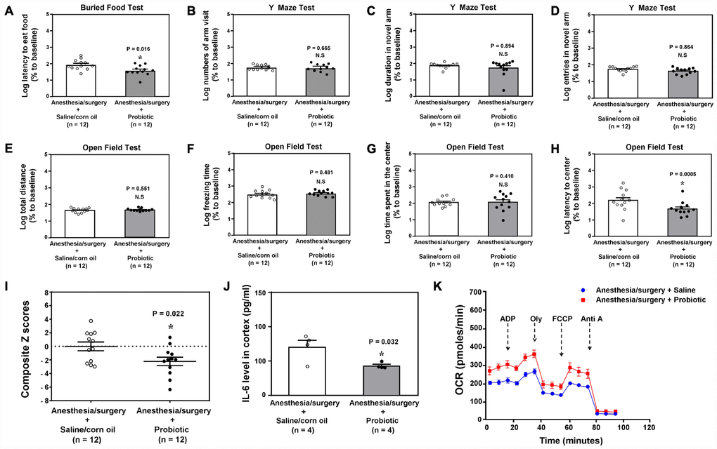  Treatment of the postoperative delirium-like behaviors by using probiotic.The comparison between the 18 months old mice received the anesthesia/surgery plus saline and the 18 months old mice received the anesthesia/surgery plus probiotic on buried food test (latency to eat food, A), Y maze test (number of arm visit, B), Y maze test (duration in novel arm, C), Y maze test (entries in novel arm, D), open field test (total distance, E), open field test (freezing time, F), open field test (time spent in center, G), and open field test (latency to center, H). (I). The comparison of the Z scores between the 18 months old mice received the anesthesia/surgery plus saline and the 18 months old mice received the anesthesia/surgery plus probiotic. There was lower composite Z score in the 18 months old mice received the anesthesia/surgery plus probiotic than that in the 18 months old mice received the anesthesia/surgery plus saline, which suggest that the treatment of probiotic mitigated the anesthesia/surgery-induced postoperative delirium-like behavior in the 18 months old mice. (J) The comparison of the brain IL-6 levels between the 18 months old mice received the anesthesia/surgery plus saline and the 18 months old mice received the anesthesia/surgery plus probiotic. (K) The comparison of the brain mitochondrial function between the 18 months old mice received the anesthesia/surgery plus saline and the 18 months old mice received the anesthesia/surgery plus probiotic. IL-6: interleukin-6. n = 12 in each group of the behavioral studies, and n = 6 in each group of the mitochondrial function studies. The Student’s t-test was used to analyze the data presented in (A, B, F and J). The Mann–Whitney U test was used to analyze the data presented in (C–D and G–H). * = P 