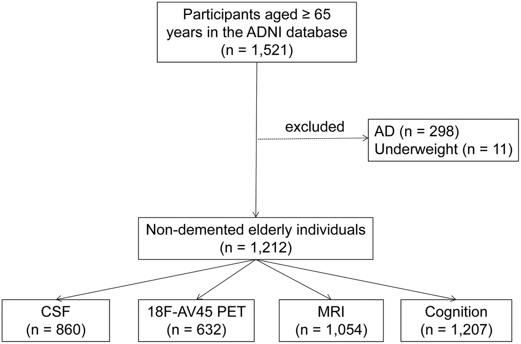 Flowchart showing the samples used in this work and the subsets utilized for analyses. Abbreviations: AD = Alzheimer's disease; CSF =Cerebrospinal Fluid.