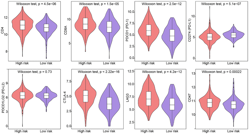 Expression of T-cell and immune checkpoint markers in low-risk and high-risk patients. Group differences were assessed by Wilcoxon test.