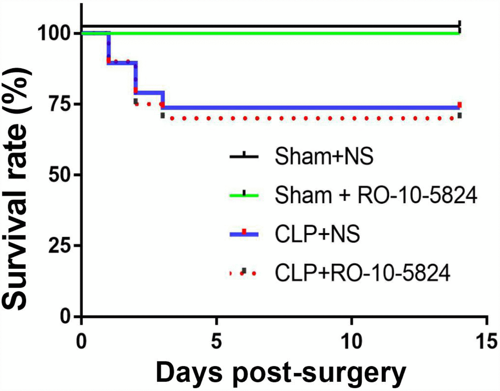 Effects of CLP on survival rate. CLP, cecal ligation and puncture. NS, normal saline.