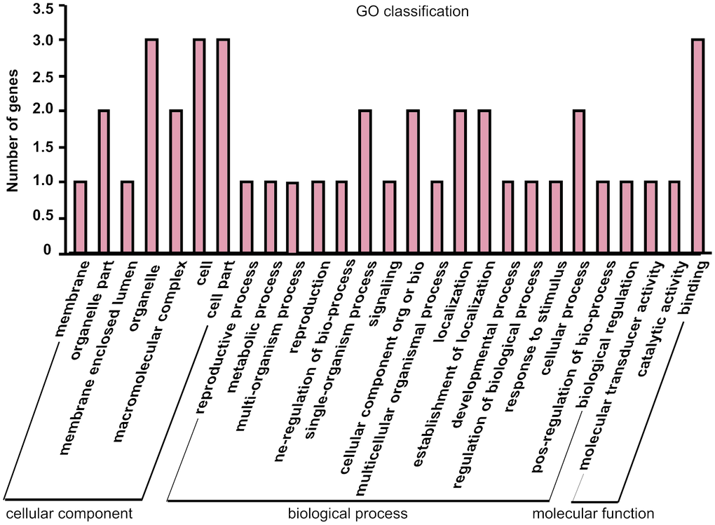 Gene Ontology (GO) annotation of parental genes of the differentially expressed circRNAs between isoproterenol- treated and untreated mice.