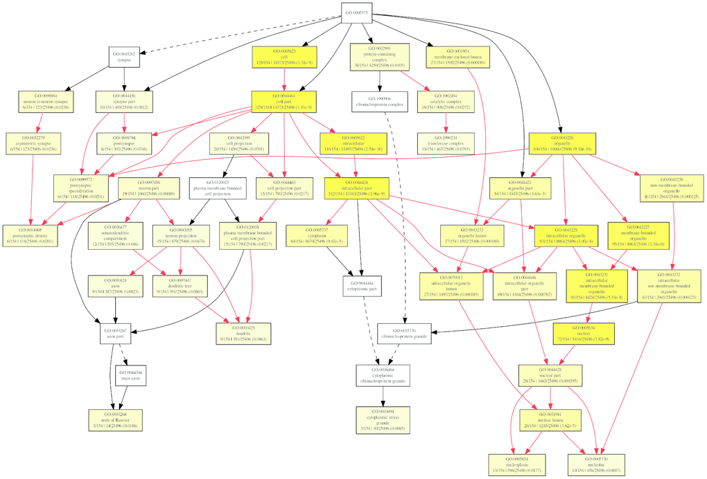 Diagrams of enriched cellular components category of mRNAs targeted of by miRNAs with GOEAST. The yellower the color, the more significant and the smaller p-value it is.